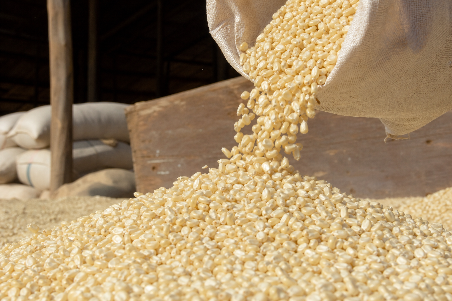 Grain product